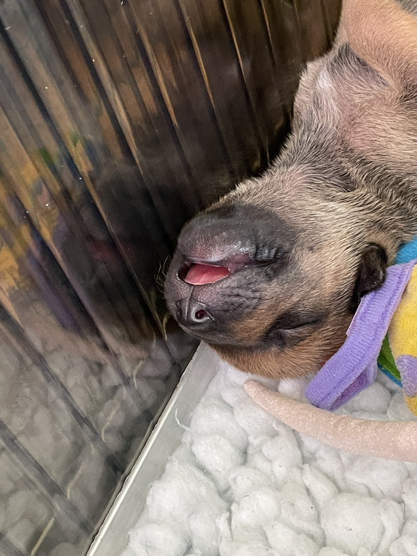 B831E470-38DC-45C6-BE3F-E0A850E80179