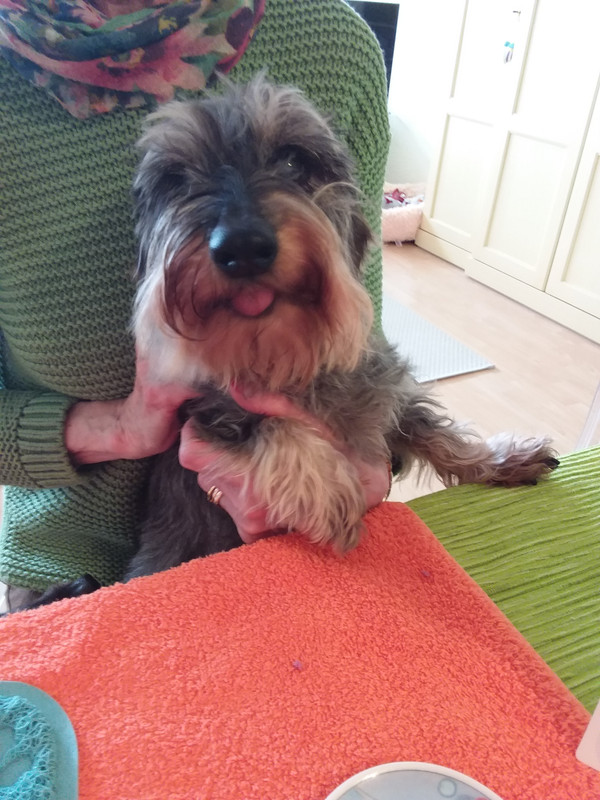 [Image: 20240312-142043.jpg]