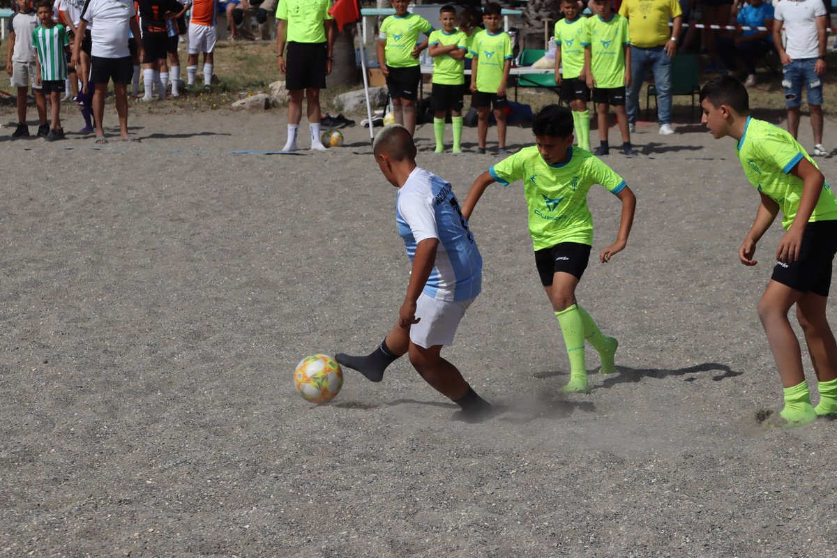 IMG-2279