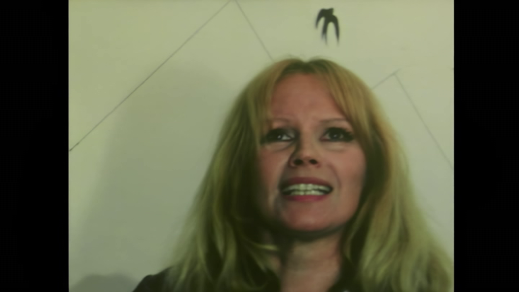 vlcsnap-2024-07-03-16h00m25s911