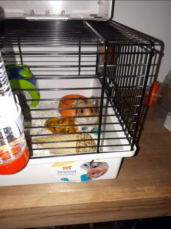 A63AA3DB-1094-4EDE-8898-1AB3529C7611