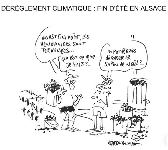 text alternatif