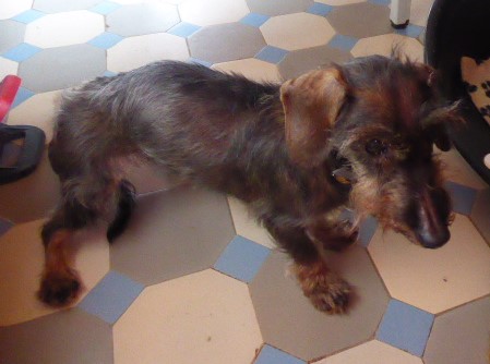 [Image: P1050816.jpg]