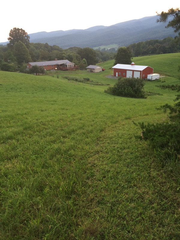 8A091455-C4EB-45AE-936F-90A2FFBE5304