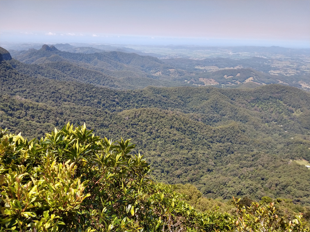 AUSTRALIA , "QUE GRAN PAIS" - Blogs de Australia - SPRINGBROOK NATIONAL PARK (4)