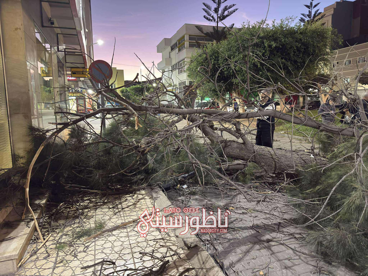 575381618-1346201140316900-6923858859442524294-n