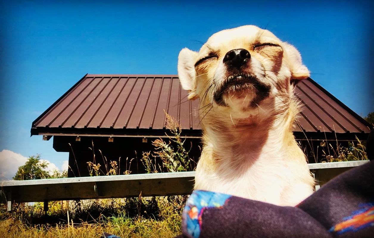 AB481756-58EE-4F0B-8C1F-5138B52AC4EC