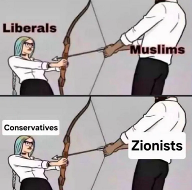 ldd443.png