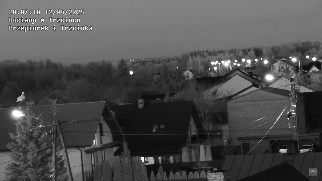 12042025bociany25