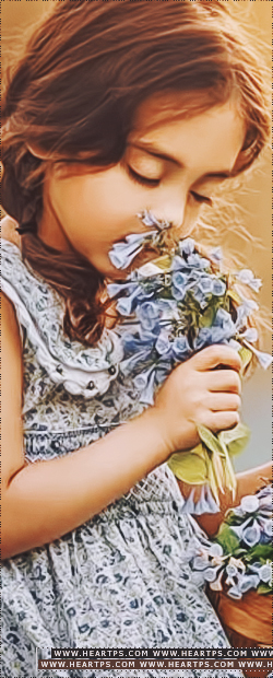 ���� ���� ������ �� ���� ������