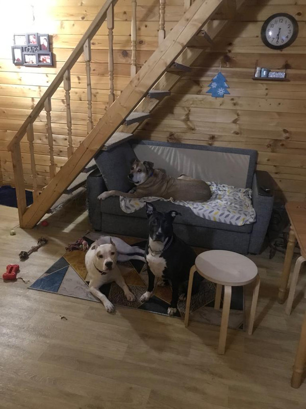 2CDC1F16-0B1F-459B-AE02-80E33018BF8D