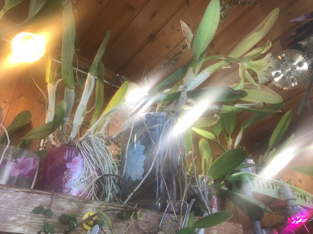 2DA6ACF2-D0F3-4E1F-A6A5-A0C54321E1E6