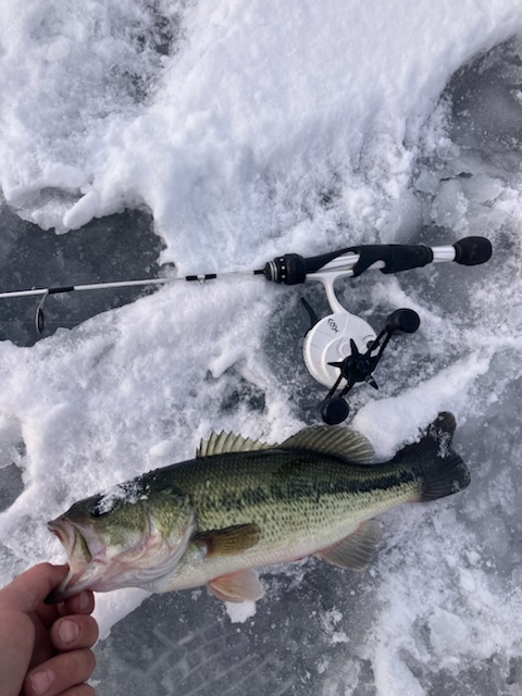 6950DA0F-B7B0-469E-B41B-F2504624116B