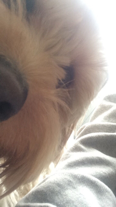Ted Selfie