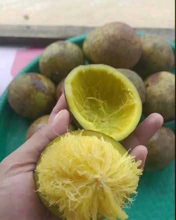 574322583 810735688476071 6192961050087262111 n