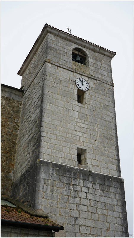 DSC05536