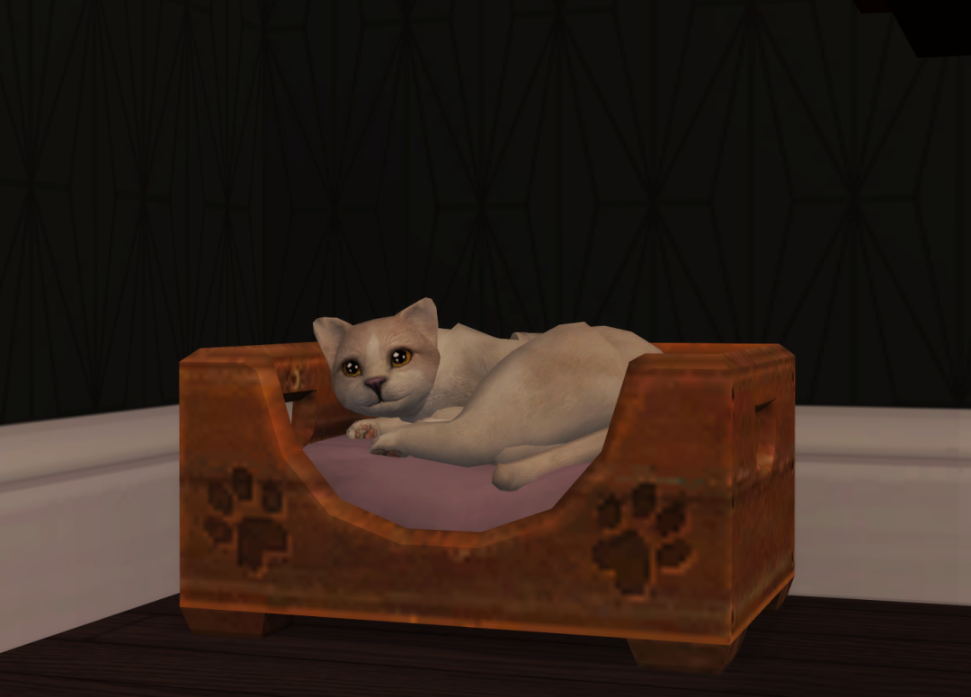 Sims2-EP9-RPC-2023-06-17-19-57-54-97