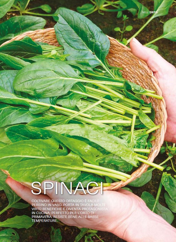 il mio Giar Feb Mar 2026 (4)