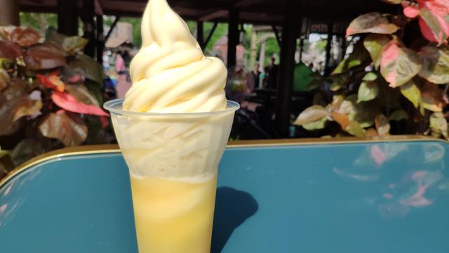 El secreto mejor guardado. Walt Disney World - Orlando octubre 2019 - Blogs de USA - Último día en Magic Kingdom (3)