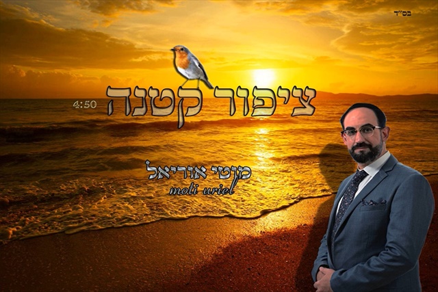 תמונה