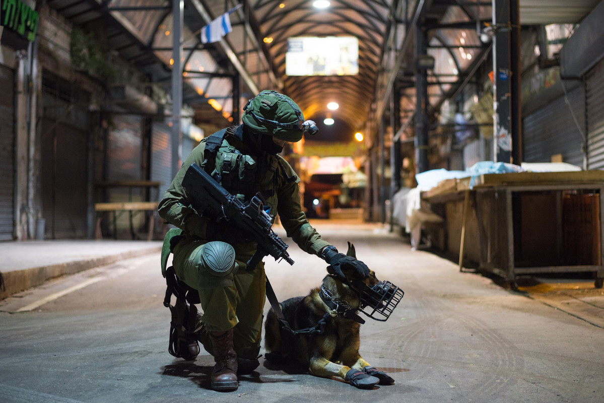 IDF K9