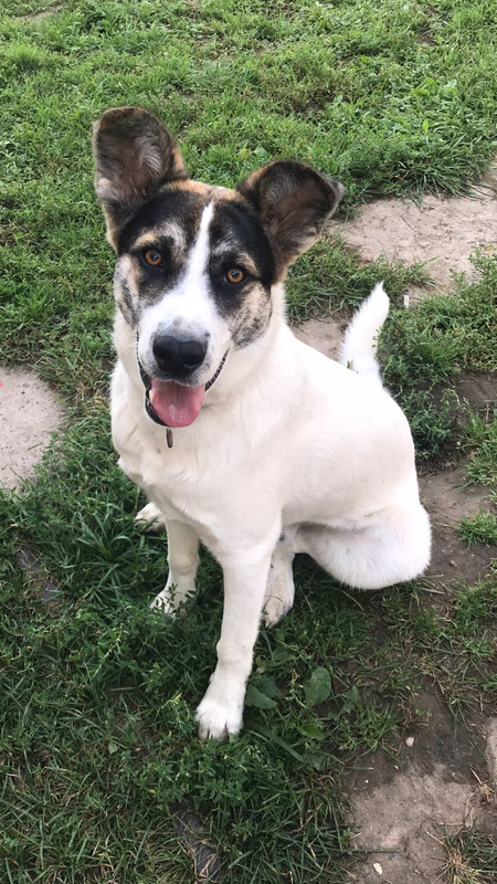 IMG-55926c571c19c02d2bd45468315e23e3-V