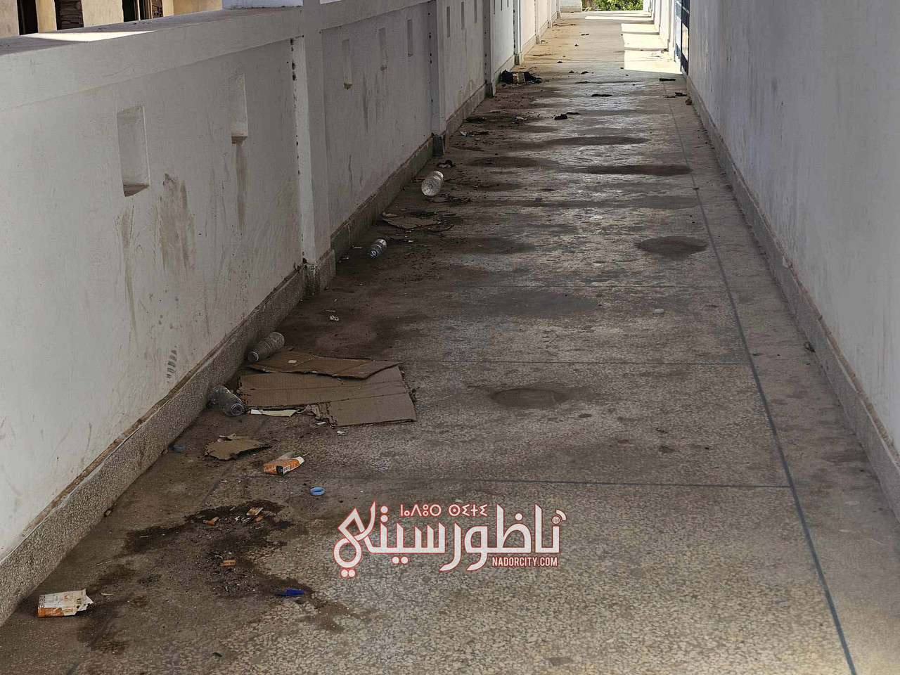 576117426-698414679548496-1771346054774314034-n