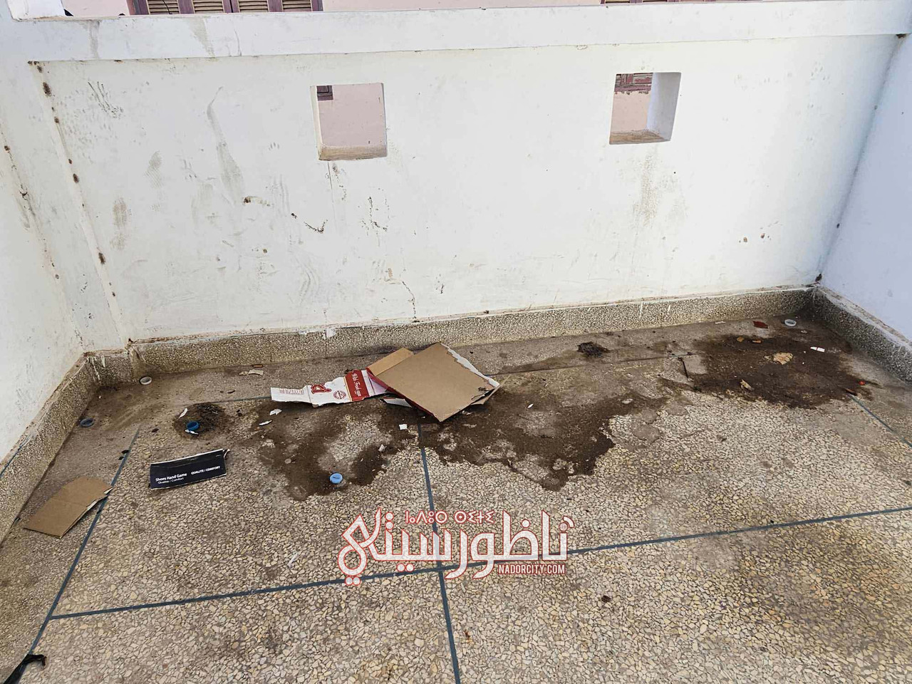 575816204-1377402800453538-256760719192521396-n