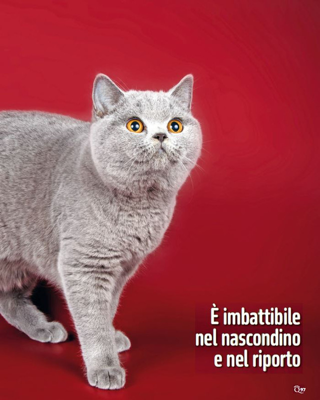 QuattroZampe Lug 2024 (6)