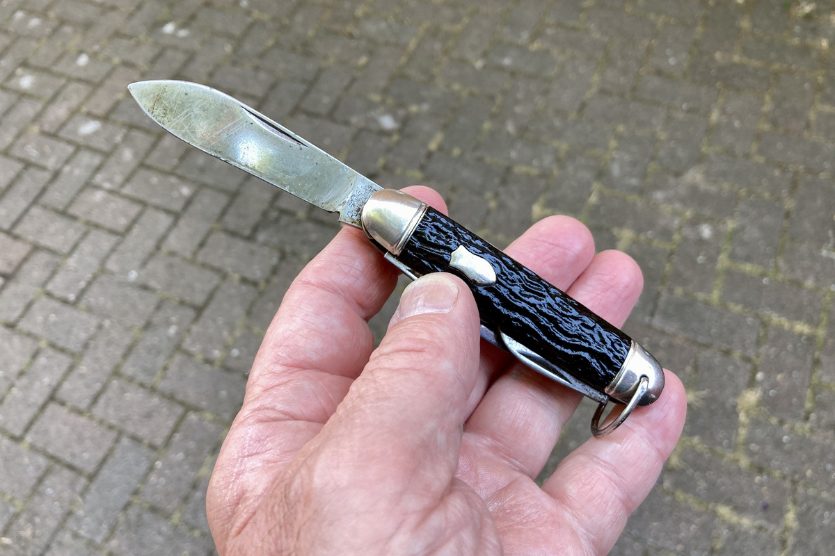 19BC8018-694A-46E8-904F-FE4EE3255321