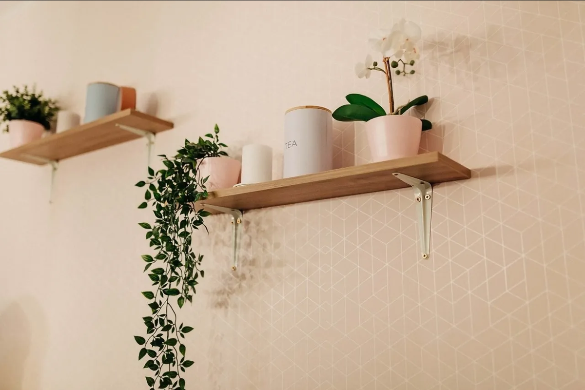 Las 5 mejores plantas para decorar los pasillos de tu casa