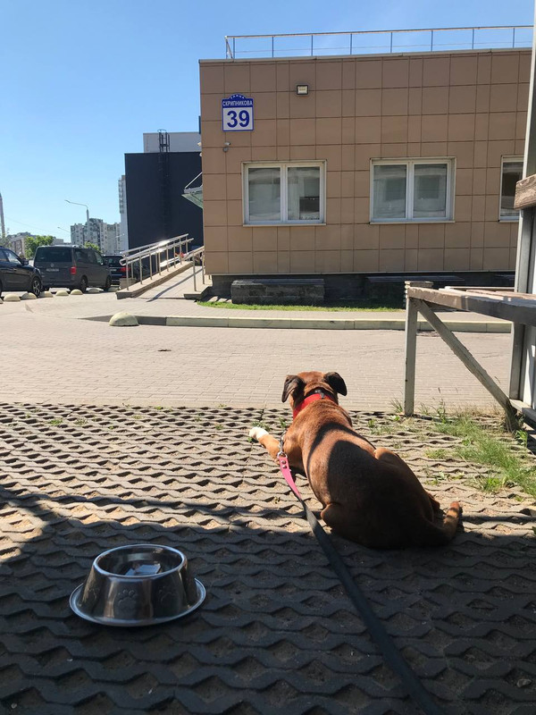 296E9DF1-BDED-4694-8D8D-7AD642899EFF