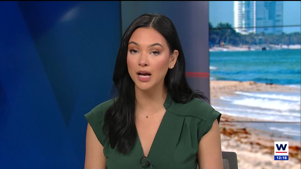 01.30 - 17.00.01 - WINK Noon News. Midday news in Ft. Myers with the ....ts_snapshot_24.34.560