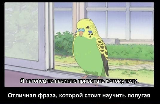 11359465279_2044731902[1]