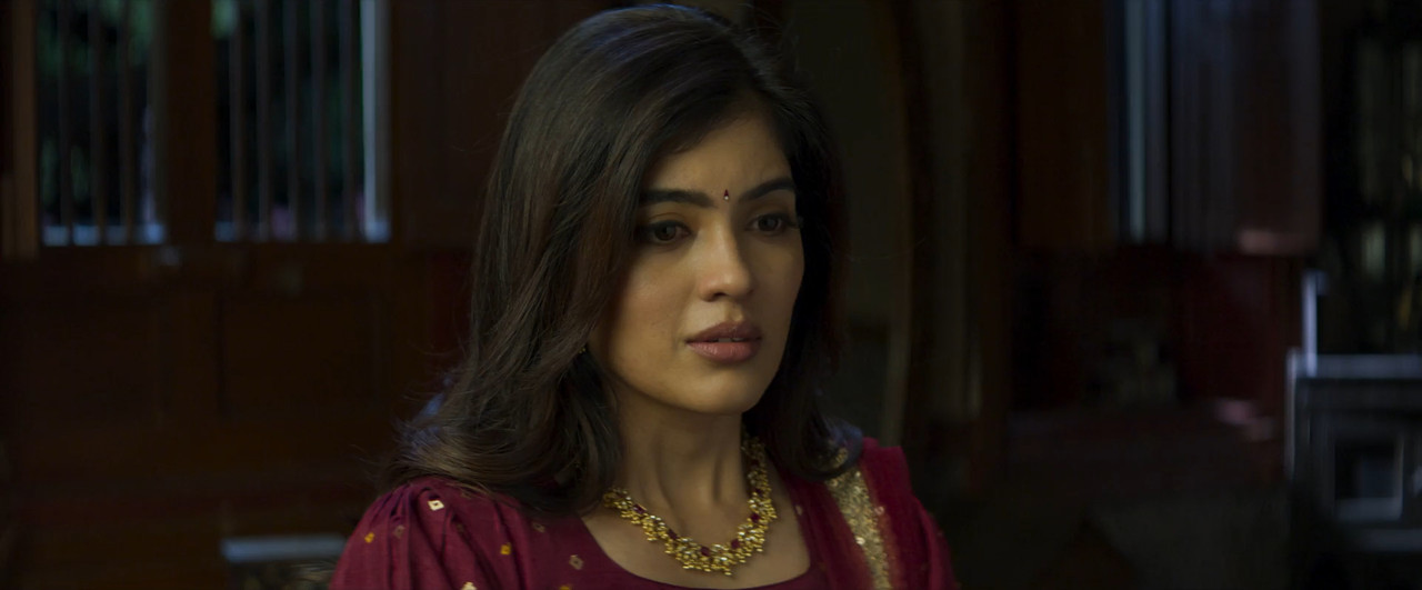 Bachhala Malli 2024 WebRip [Hindi + Tamil + Telugu + Malayalam + Kannada] 480p 720p 1080p ESub Screenshot