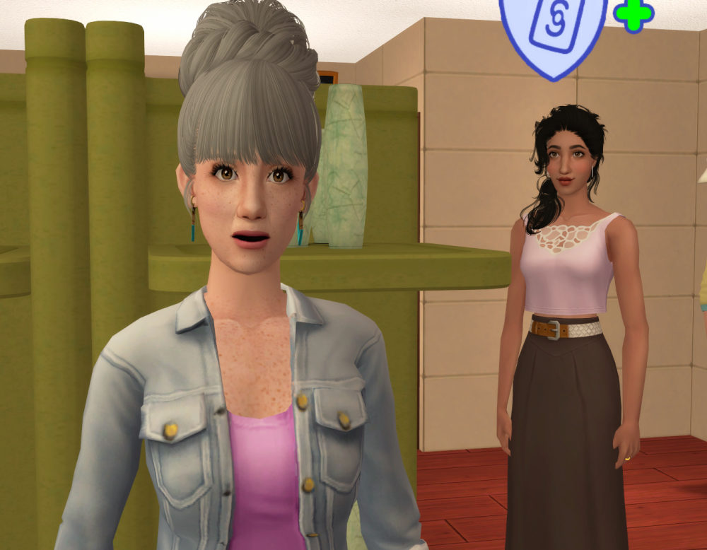 Sims2-EP9-RPC-2022-04-30-21-16-14-77
