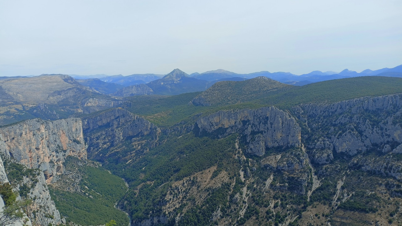 IMG20250804125258 (Large)