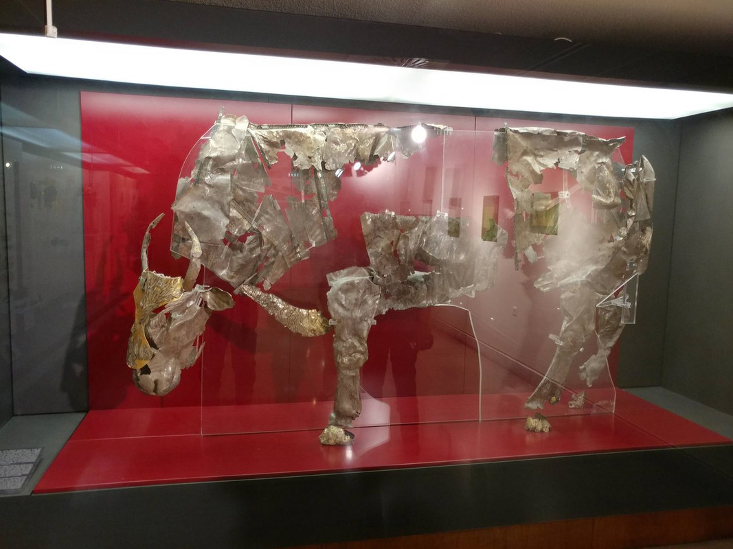 20220609-120000-HDR.jpg
