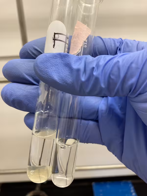 Organic Chemistry Lab Chemical Identification Exercise (Test Tubes)