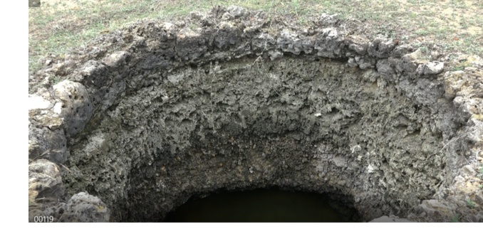 Screenshot-2020-12-31-13-13-19-113-org-m