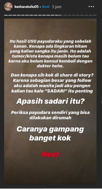 Instagram Story Kesha Ratuliu