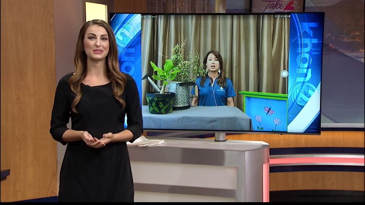 08.27 - 19.00.00 - Wake Up 2Day - Take 2. Local news, sports and weat....ts_snapshot_01.00.03.016