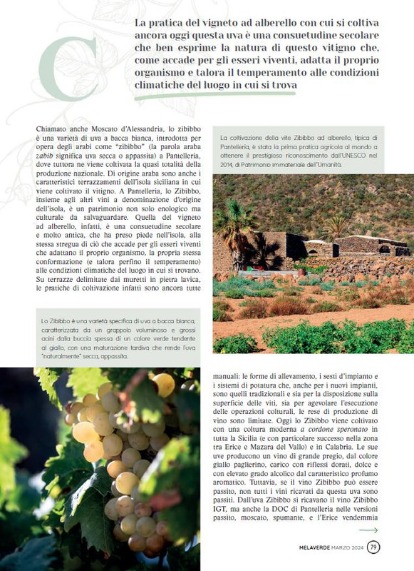 melaverde Mar 2024 (10)