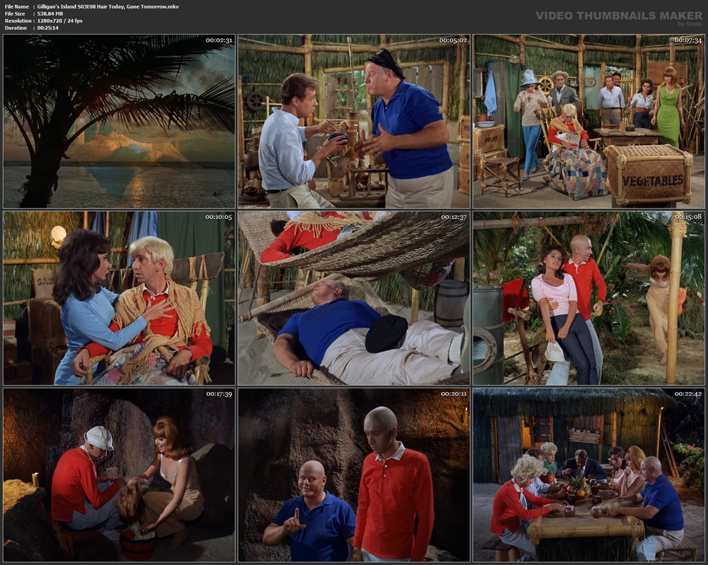 Gilligan's Island S03E08 Hair Today, Gone Tomorrow.mkv