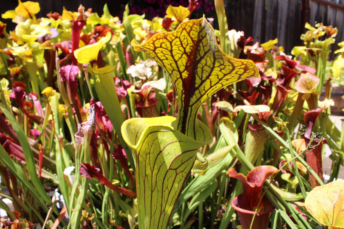 1D414AD7-12D8-48AE-B383-790BAB156F30