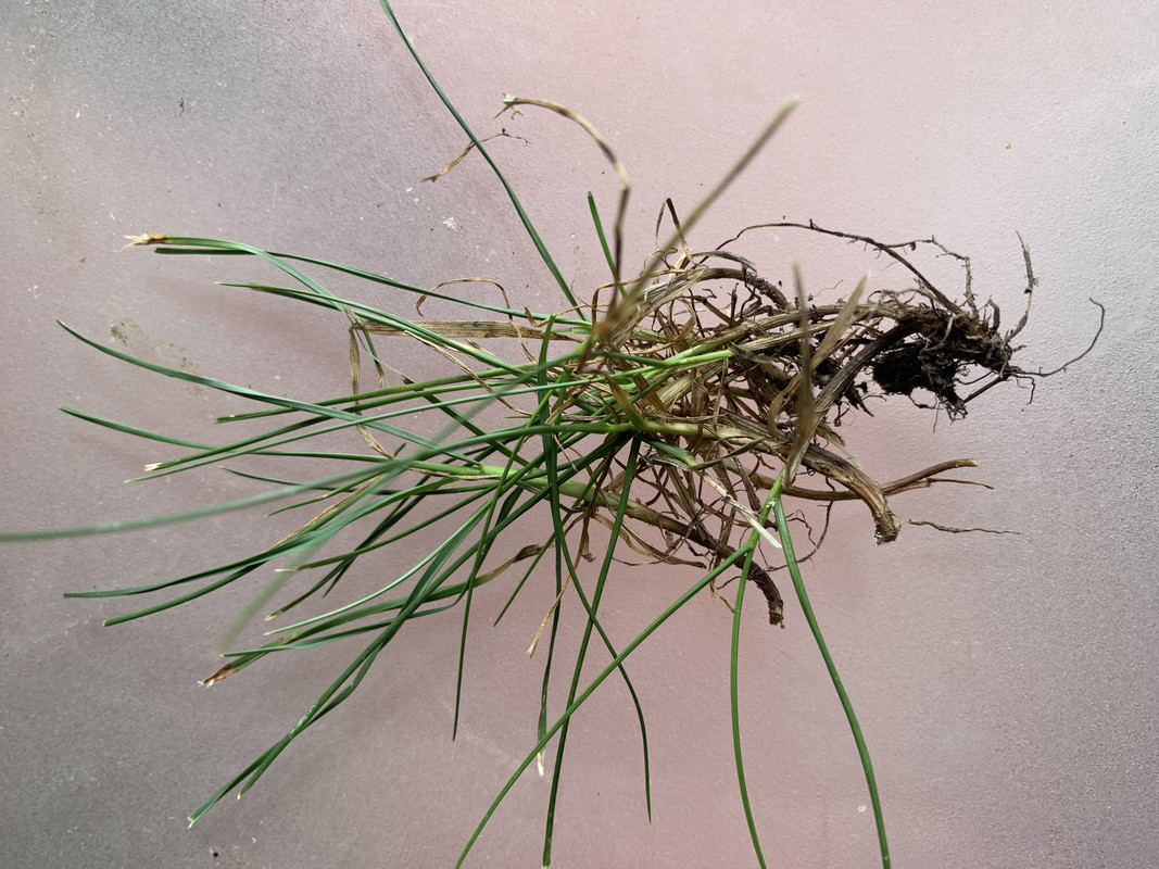 381D4D4C-723E-485E-8C5D-701EBB6532AD