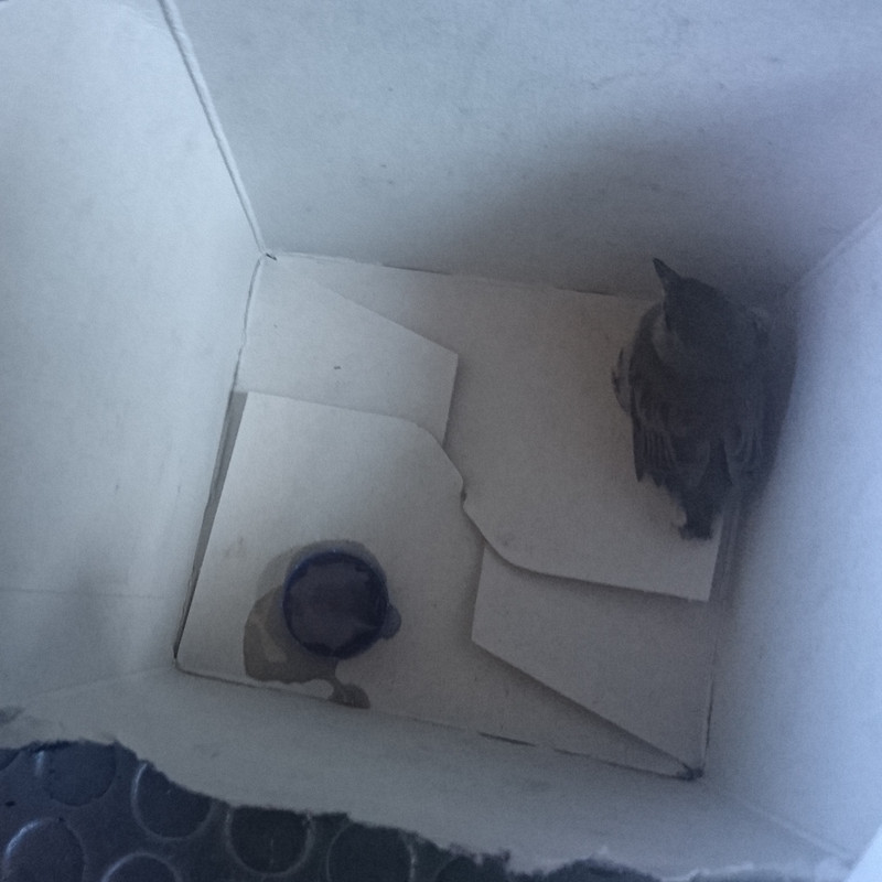 IMG_20180630_154738_162