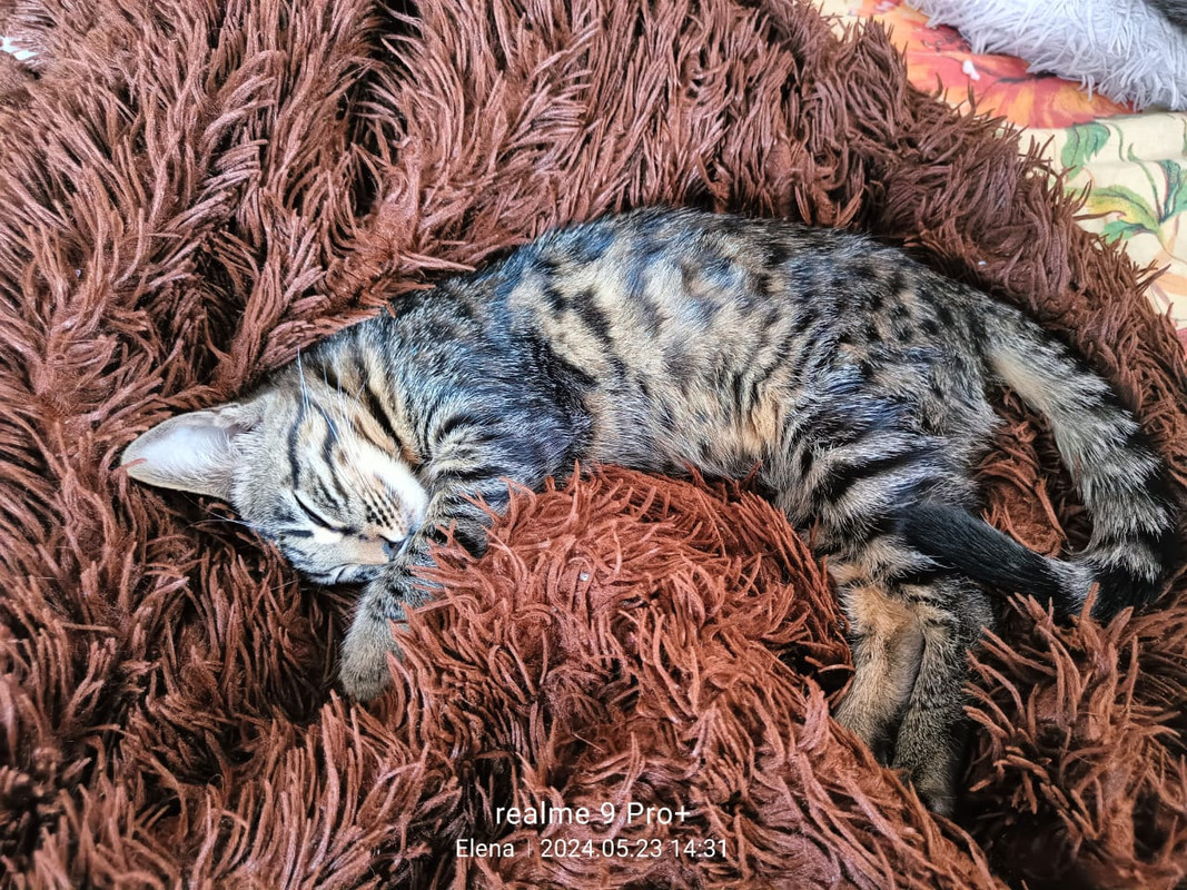 WhatsApp Image 2024-05-23 at 14.32.29 (1)