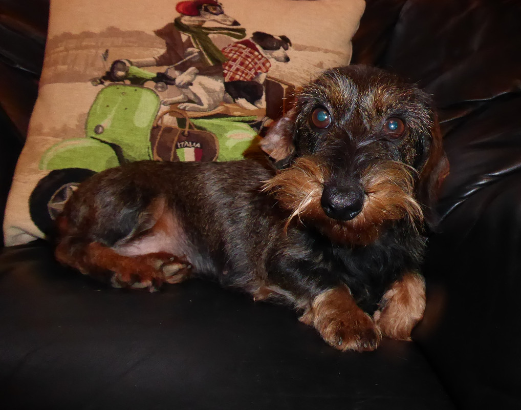 [Image: P1040613.jpg]