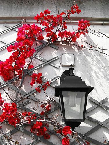 red-flowers-lamp-new.jpg
